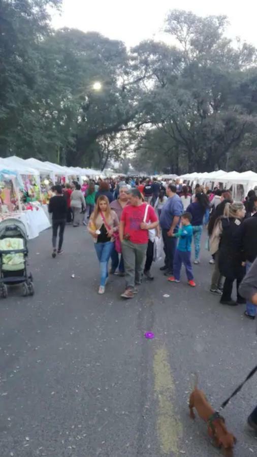 Departamento Bicentenario Y Parque *