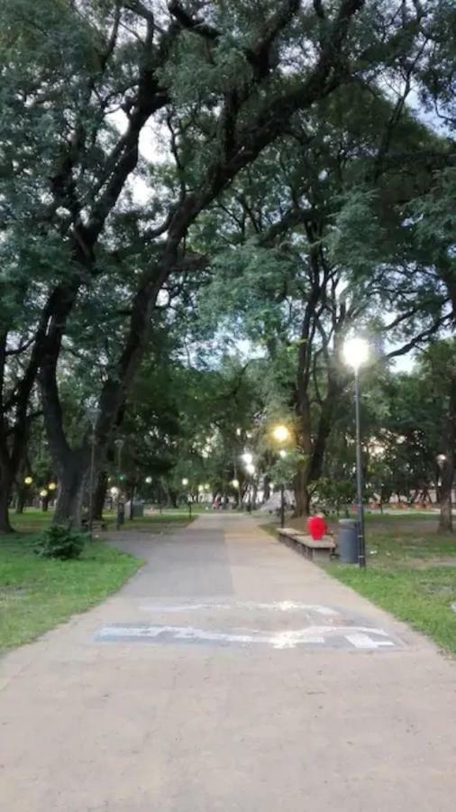 Departamento Bicentenario Y Parque *